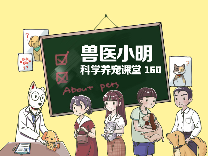 养宠租房,养宠人租房好难