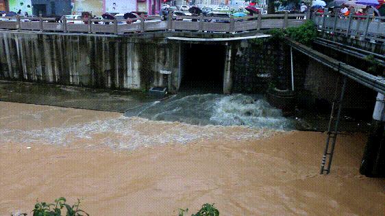 深圳暴雨致多人被困消防紧急救援,深圳暴雨引发洪水浸死车内司机
