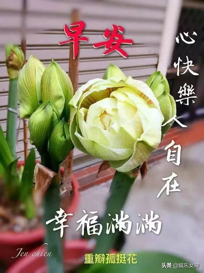 早晨好问候语图片表情,疫情寒冬早上好问候语句