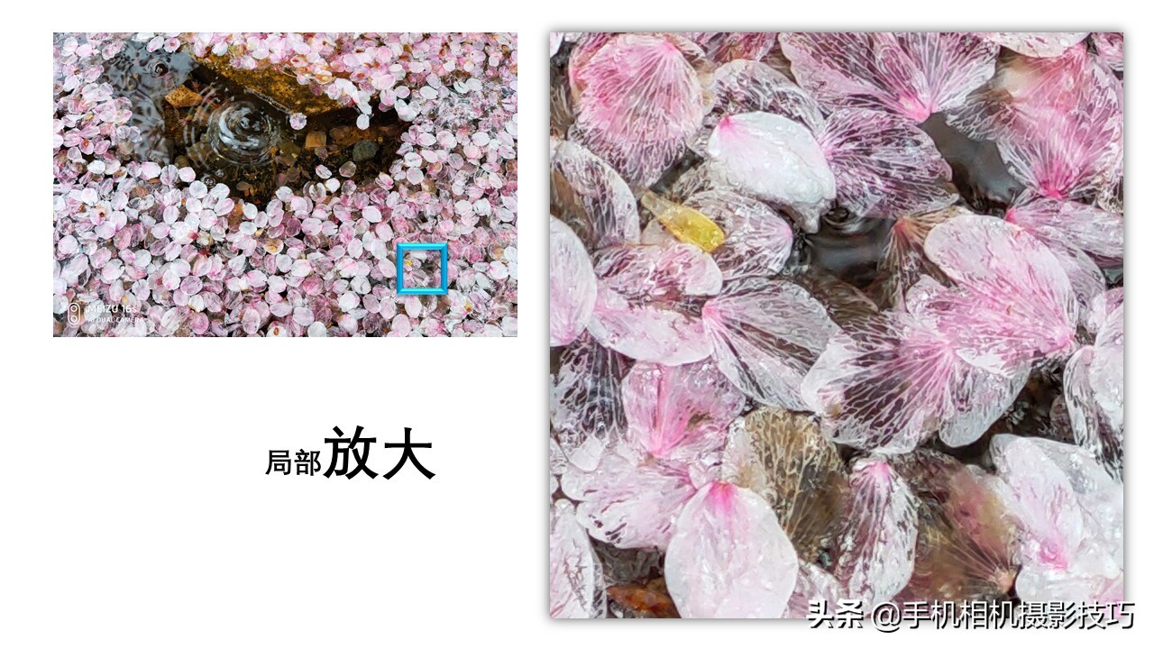 魅族16s拍照怎么样,魅族16s拍照好看吗