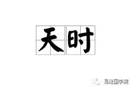 八字财多身弱案例,赵惠东易术讲解视频