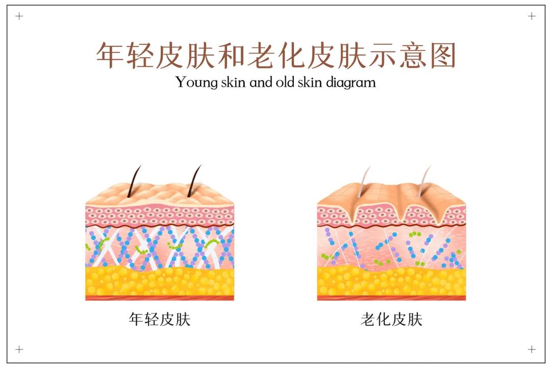 护肤皱纹改善需要多久,护肤分享淡化细纹小妙招