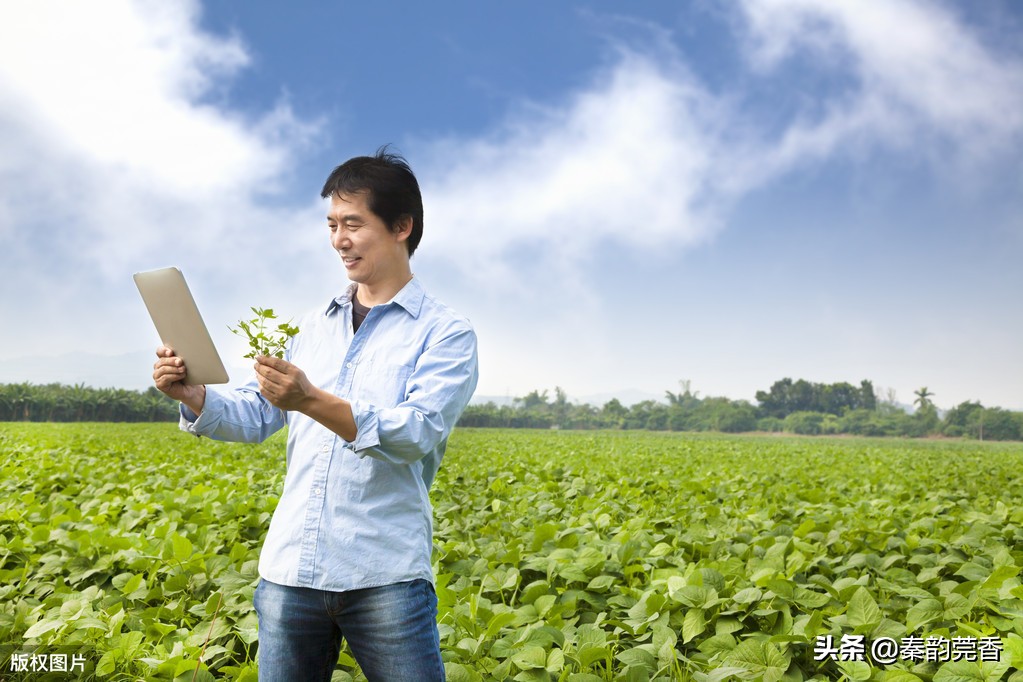 不想打工在农村做什么赚钱,除了工厂还有什么工作能挣8000