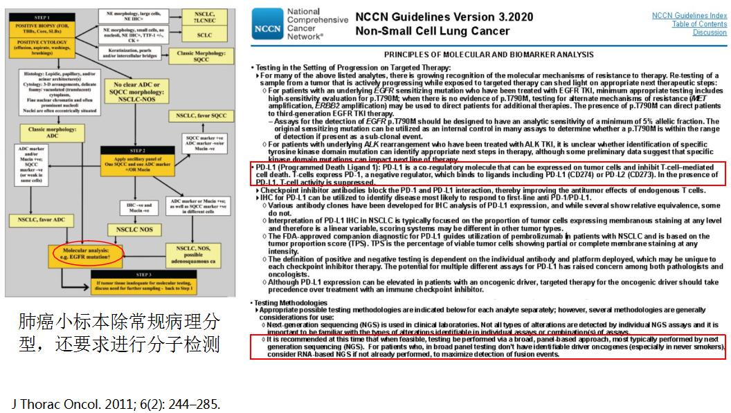 全球对肺癌治疗的最有效最新技术,肺癌的支气管镜介入治疗