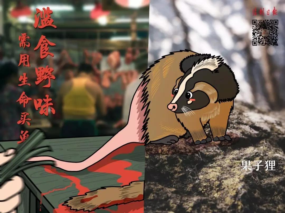 拒绝野味成为自觉举止,拒绝野味管不住嘴