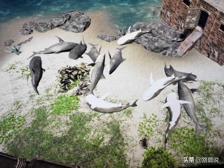 荒岛求生生存技巧真人版合集,荒岛求生技巧和方法
