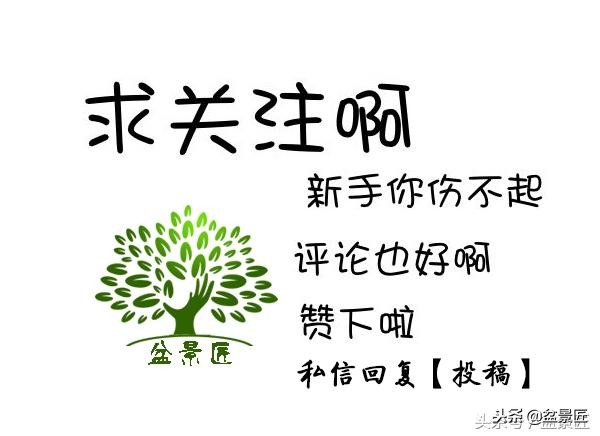 巧妙旧物改造塑料瓶变身手工花盆,旧物利用变废为宝制作花盆