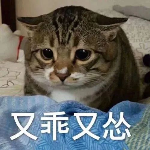 少儿《街舞》？街舞大神王晨艺联和街舞冠军，上演街舞养成计划