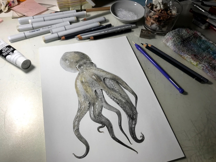 逼真立体的手绘章鱼，附绘画分解步骤图，看起来很鲜活可以下锅了