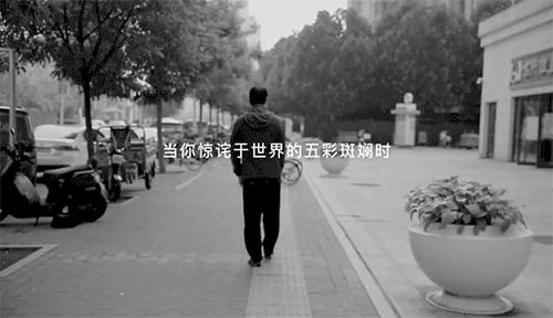 国际盲人节你的眼中能看到他们吗,国际盲人节