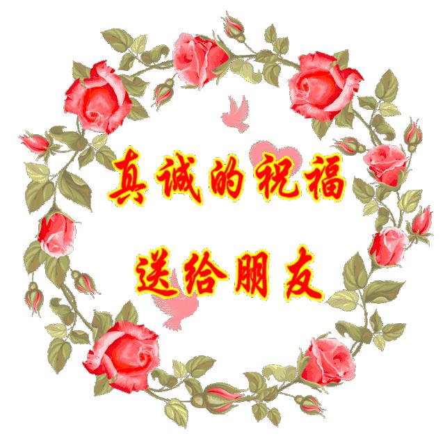《大沽河诗刊》诗年华（第49期）