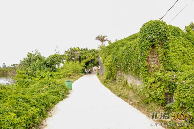 高德往事：重返旧时光，探索李桃栏深院大宅不为人知的过往