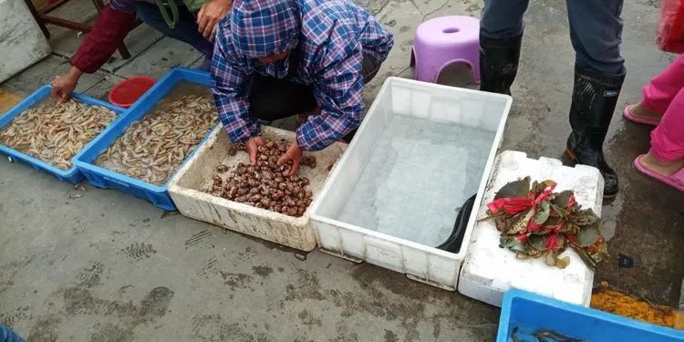 浣犲涔呮病鍘绘捣杈瑰害鍋囦簡,浣犲涔呮病鏈夊嚭闂ㄦ梾娓镐簡