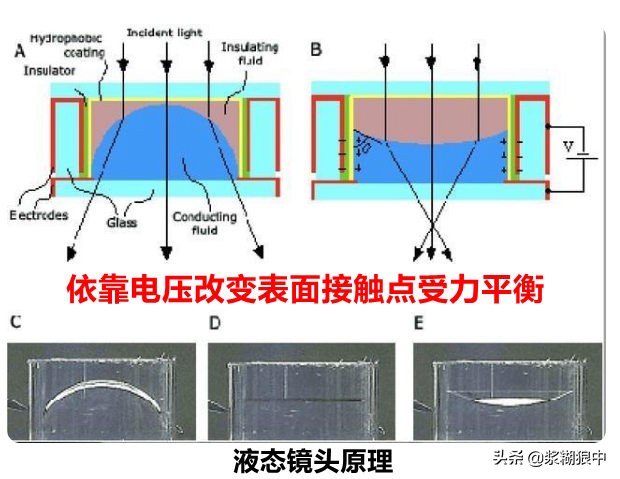 华为p50有什么强大的功能,华为p50最强功能是什么