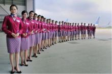 中国南方航空官方,带你了解中国南方航空公司