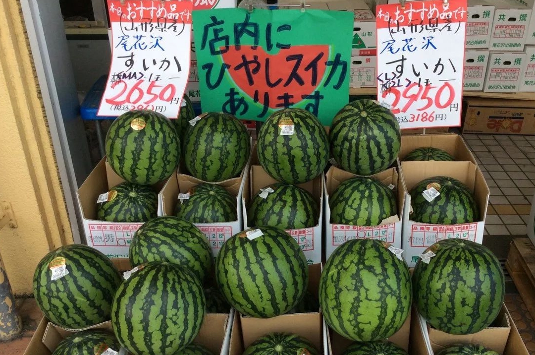日本一棵大白菜多少钱,日本一颗白菜价格