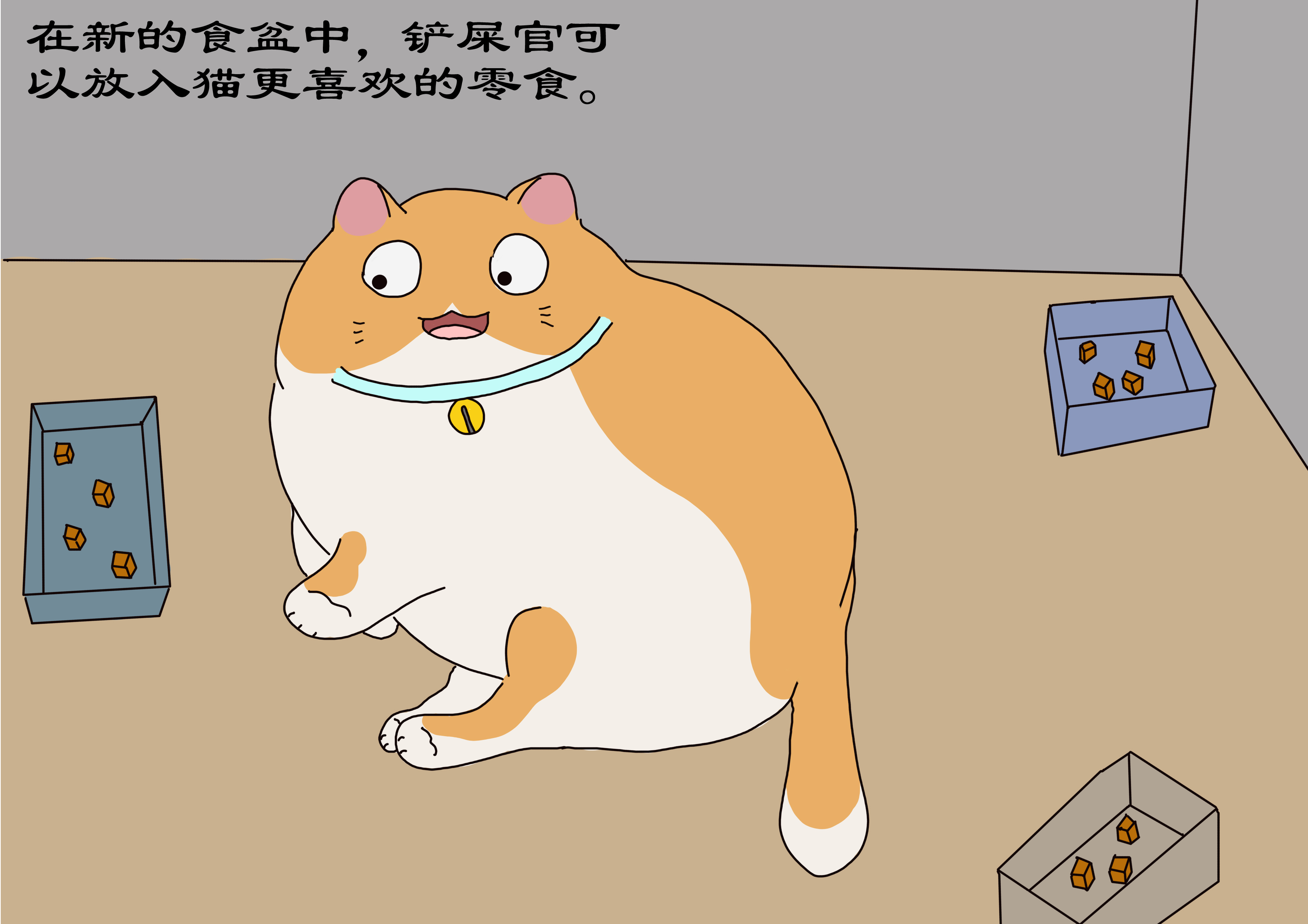 猫长时间关在笼子里怎么适应,猫咪长期不在家怎么照顾自己的猫