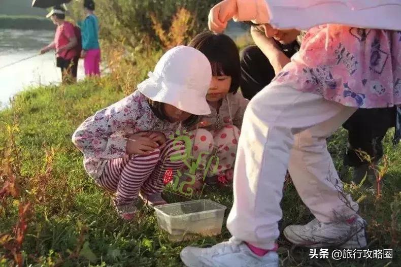呼伦贝尔亲子游十天怎样玩,呼伦贝尔大草原亲子游