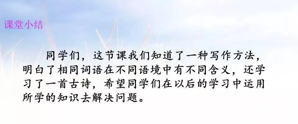 部编五上我的心爱之物作文,五上语文我的心爱之物范文