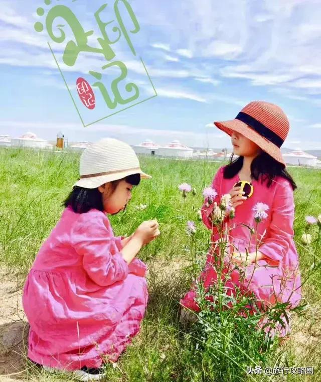 呼伦贝尔亲子游十天怎样玩,呼伦贝尔大草原亲子游