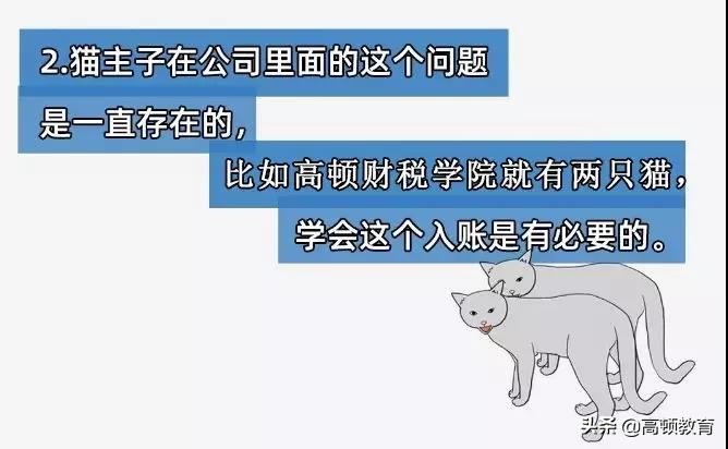 公司买个猫怎么处理,公司买的猫怎么入账