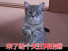 阿拉斯加犬身上有虫子该怎么办,阿拉斯加体内寄生虫怎么驱除
