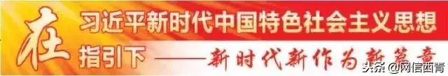 激荡四十年企业家曹德旺,激荡40年解读
