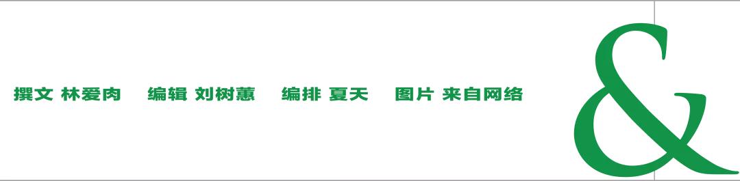 萨莉亚西餐怎么样,最便宜西餐萨莉亚